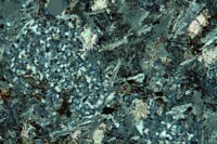  Thin section Rock Adenesit